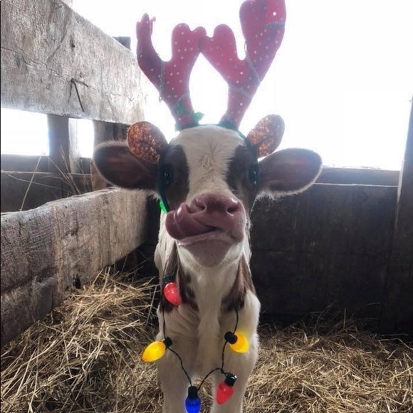 Meet your Posher, Jamie - Picture 1 of 1